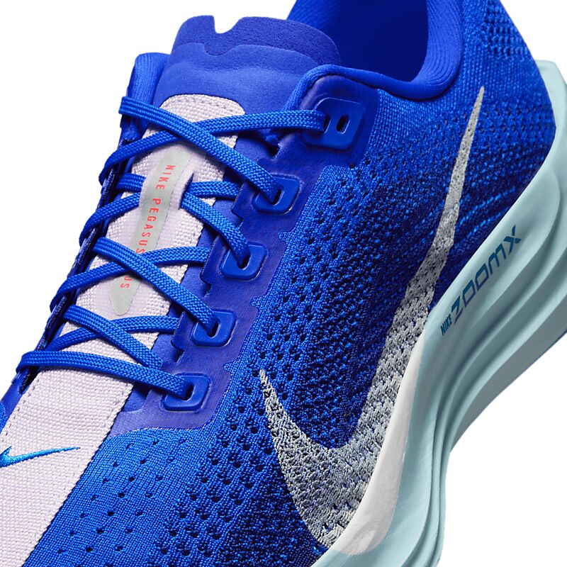 NIKE M Pegasus Plus Prm på