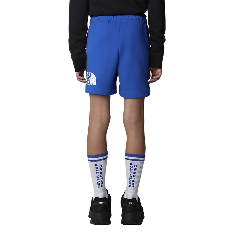 THE NORTH FACE J Regular Cotton Shorts på
