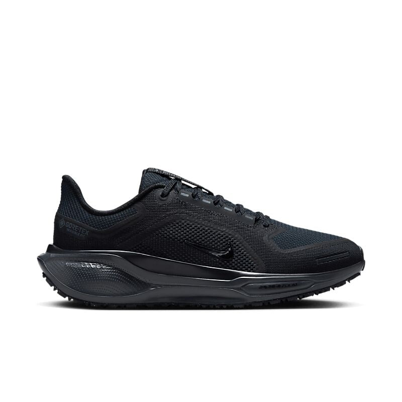 NIKE W Pegasus 41 Gore-Tex på
