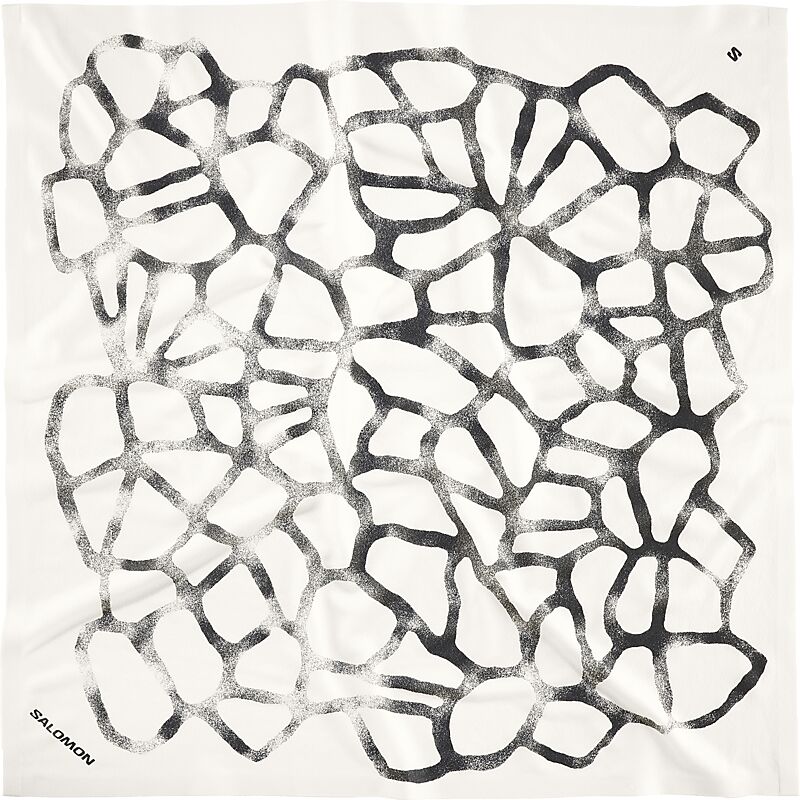 SALOMON BANDANA GRVL GFX U på