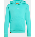 ADIDAS Adidas Adidas Minecraft Terrex Hoodie på