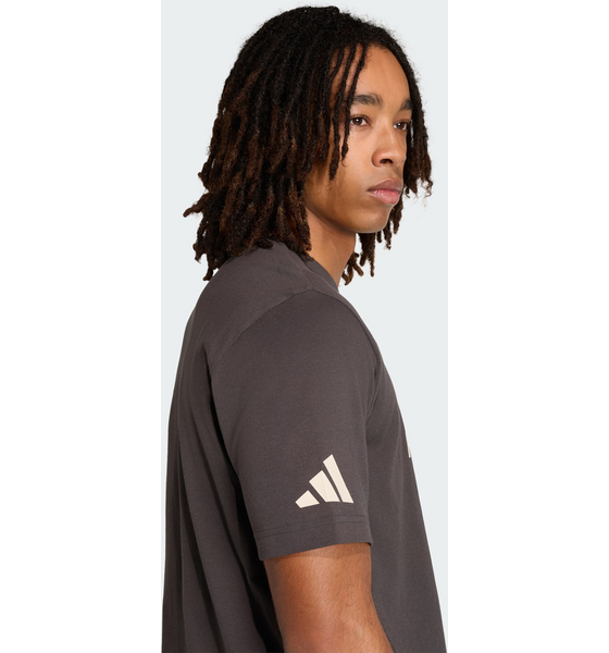 ADIDAS Adidas Audi Revolut F1 Team Dna Graphic T-shirt på