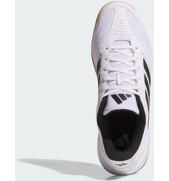 ADIDAS Adidas Ligra 8 Indoor Skor på