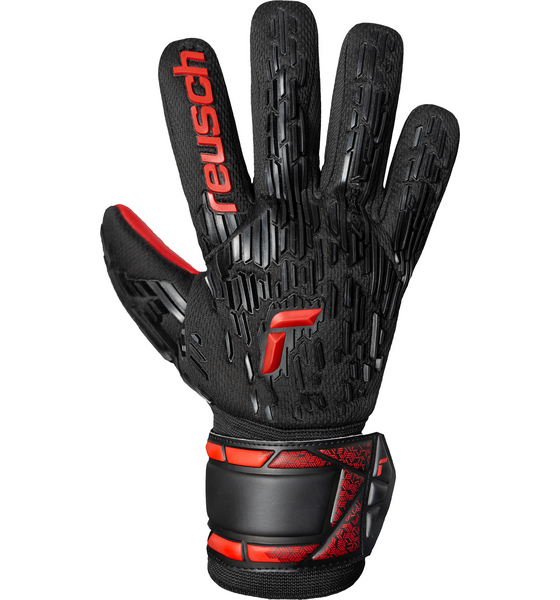 REUSCH Attrakt Freegel Silver Nc på