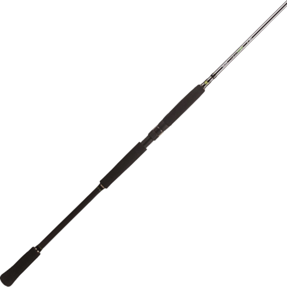 BFT Bft Raptor G2 Pike Spin 8' -100g - 2pcs Haspel på