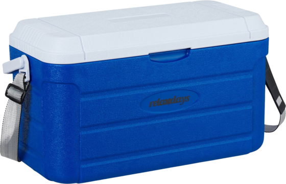 B2X Cool Box 20 L With Carrying Strap på
