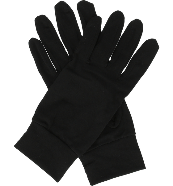 WHISTLER Dane Gloves på