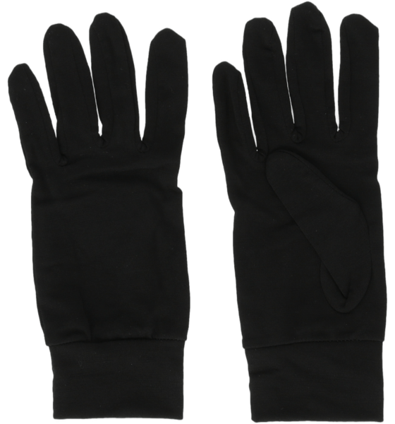 WHISTLER Dane Gloves på
