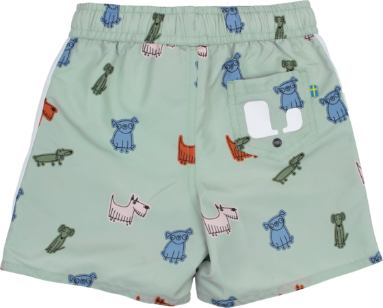 LINDBERG Dexter Beach Shorts på