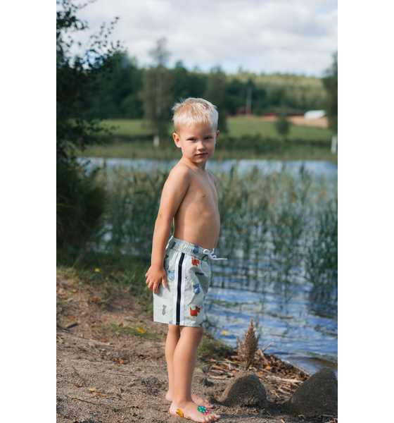 LINDBERG Dexter Beach Shorts på