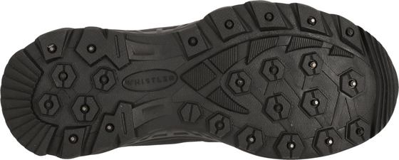 WHISTLER Eesdou Winter Boots på
