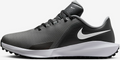 NIKE Golf Shoes Infinity G Nn på