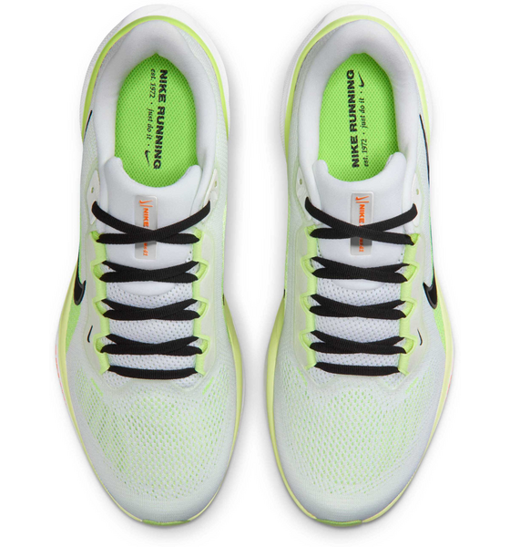 NIKE Men's Road-running Shoes Pegasus 41 på