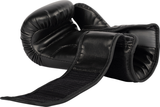 GORILLA WEAR Mosby Boxing Gloves på