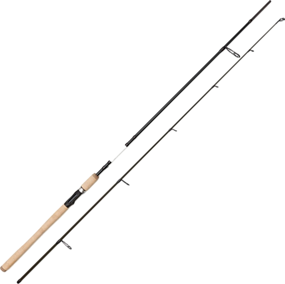 MYRAN Myran Eciton Spin Spinning Rod 10'/3,00m 15-40g 3sec på