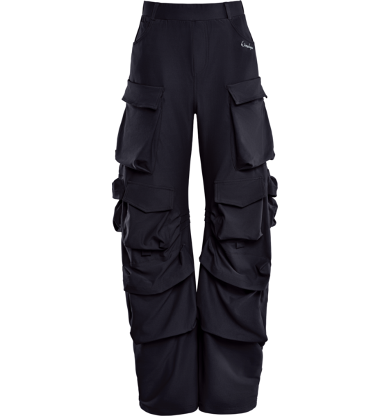 WINSHAPE Pants Cp101c på