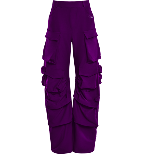WINSHAPE Pants Cp101c på