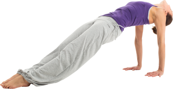 WINSHAPE Pants Wh1 på
