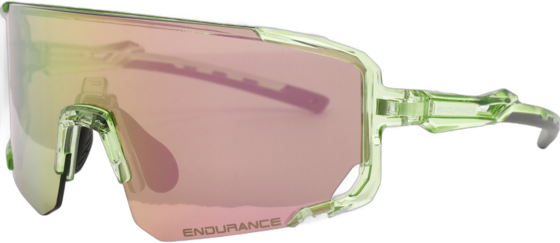ENDURANCE Phillipe på
