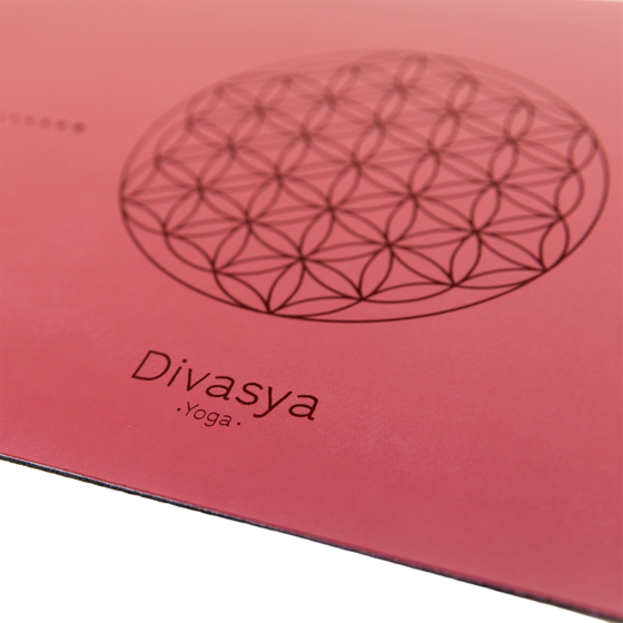 DIVASYA Professional Grip på