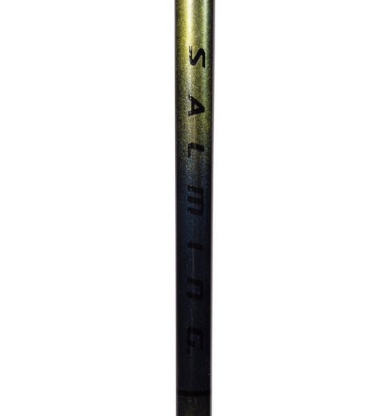 SALMING Q-series Carbon Pro 2.0 Q1 F29 på