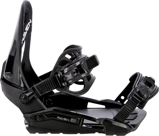 RAVEN S230 på