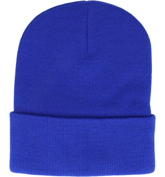 AMERICAN NEEDLE Tampa Bay Lightning Beanie på