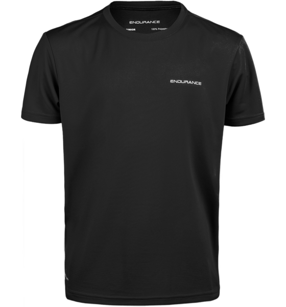 ENDURANCE Vernon T-shirt på