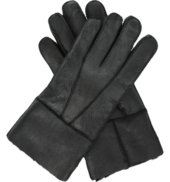 WHISTLER Virging Gloves på