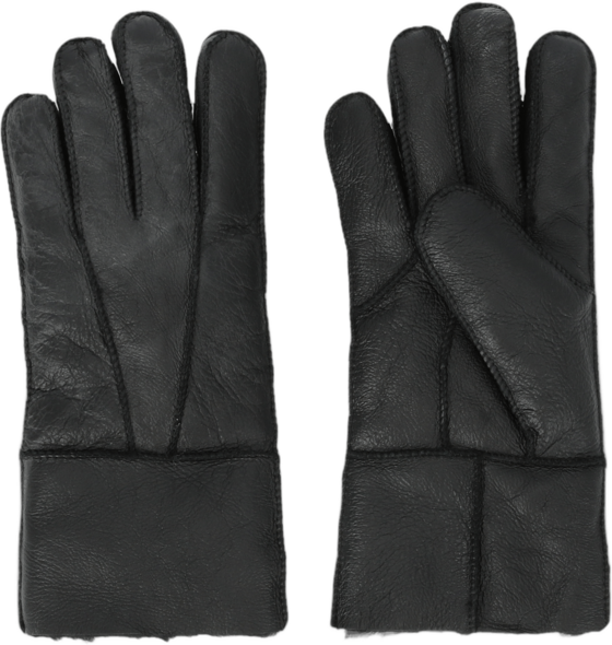 WHISTLER Virging Gloves på