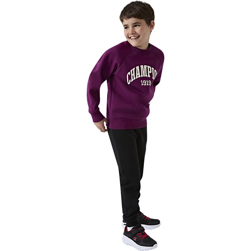 CHAMPION J Crewneck Sweatshirt på