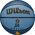 WILSON Nba Player Icon Outdoor Bskt på