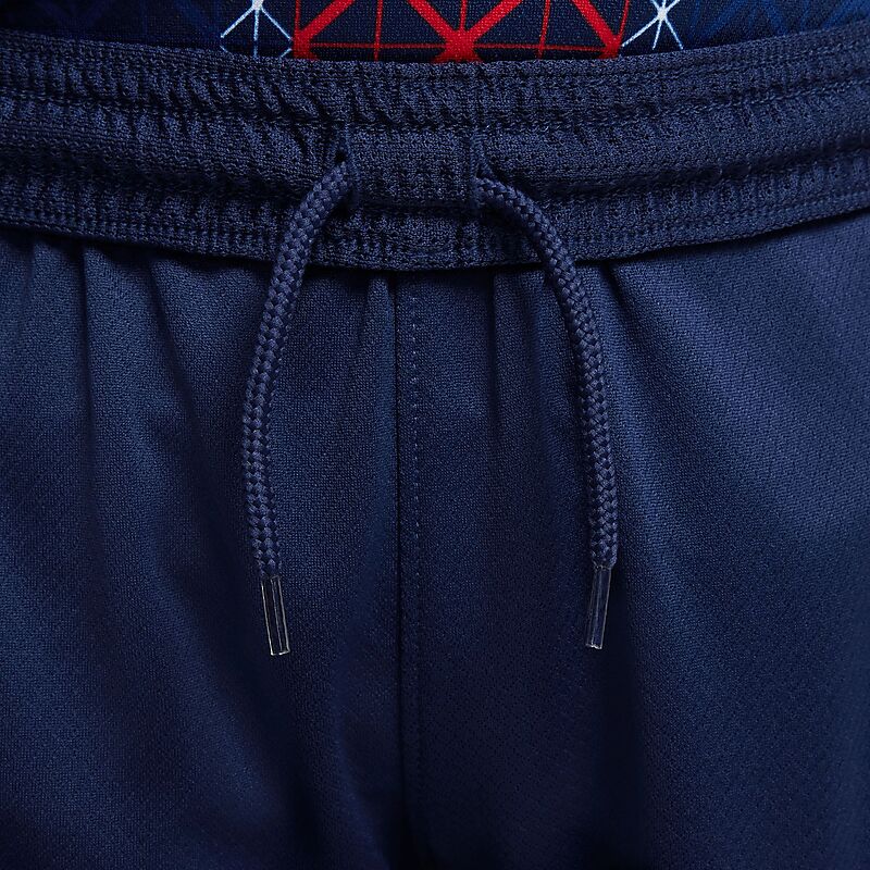 NIKE Psg Y Nk Df Short Stad Hm på