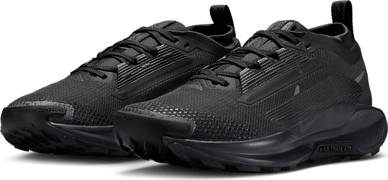 NIKE W Pegasus Trail 5 Gore-Tex på