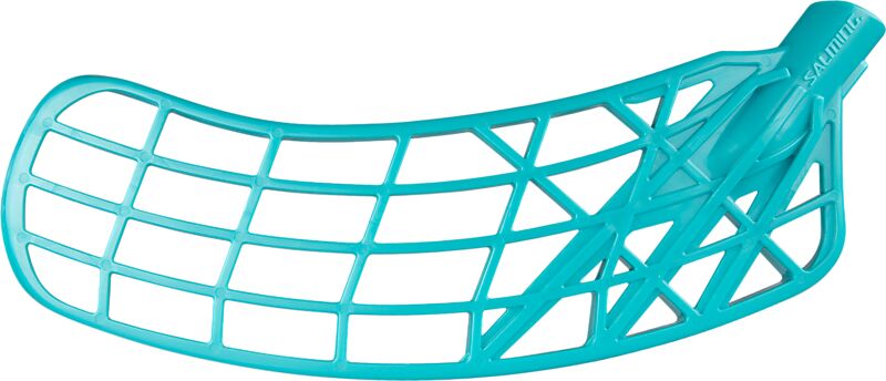 SALMING TRIDENT BLADE ENDURANCE X på