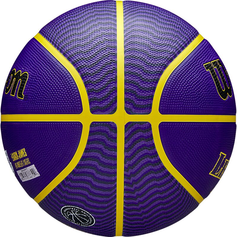 WILSON Nba Player Icon Outdoor Bskt på