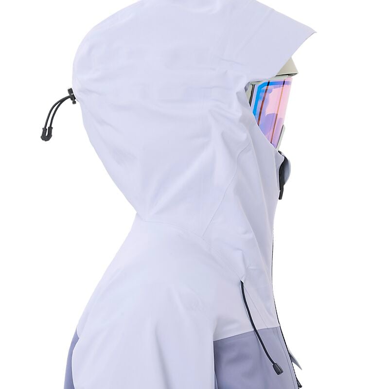 SALOMON W Moon Patrol Gtx Jacket på