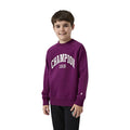 CHAMPION J Crewneck Sweatshirt på