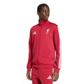 ADIDAS LFC DNA TT på